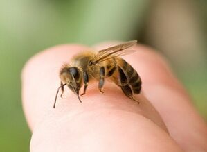 Picadura de abeja para agrandar el pene